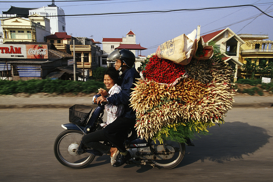 Bikes of Burden - Roses