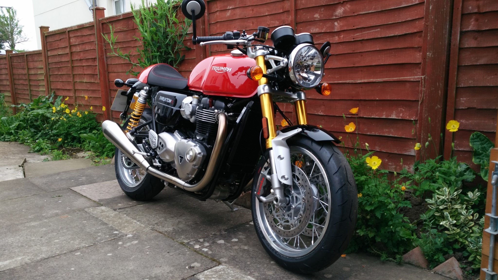 Colin McQuistan – Triumph Thruxton 1200 1