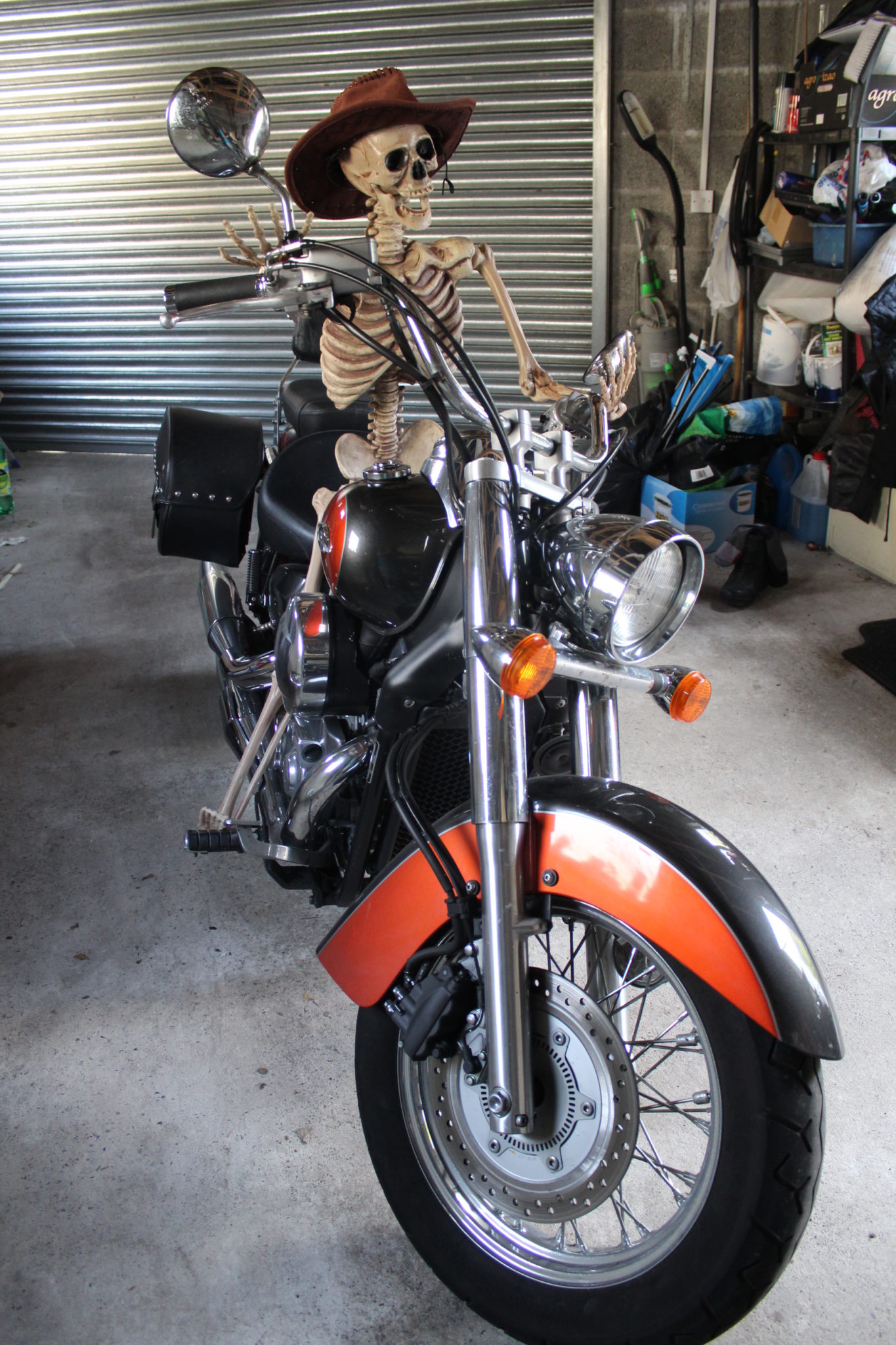 Dave – Honda VT750 Shadow 3