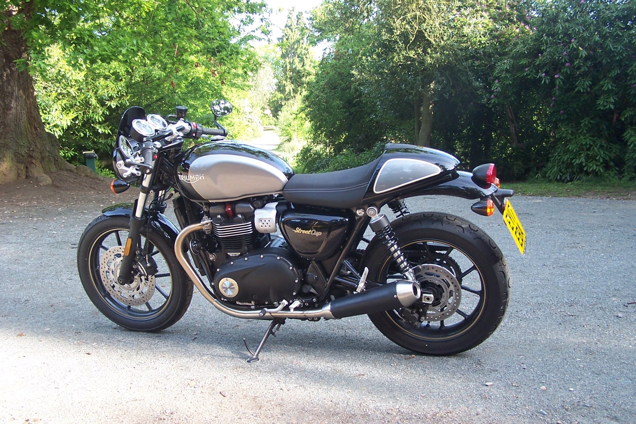 Nippy – Triumph Street Twin