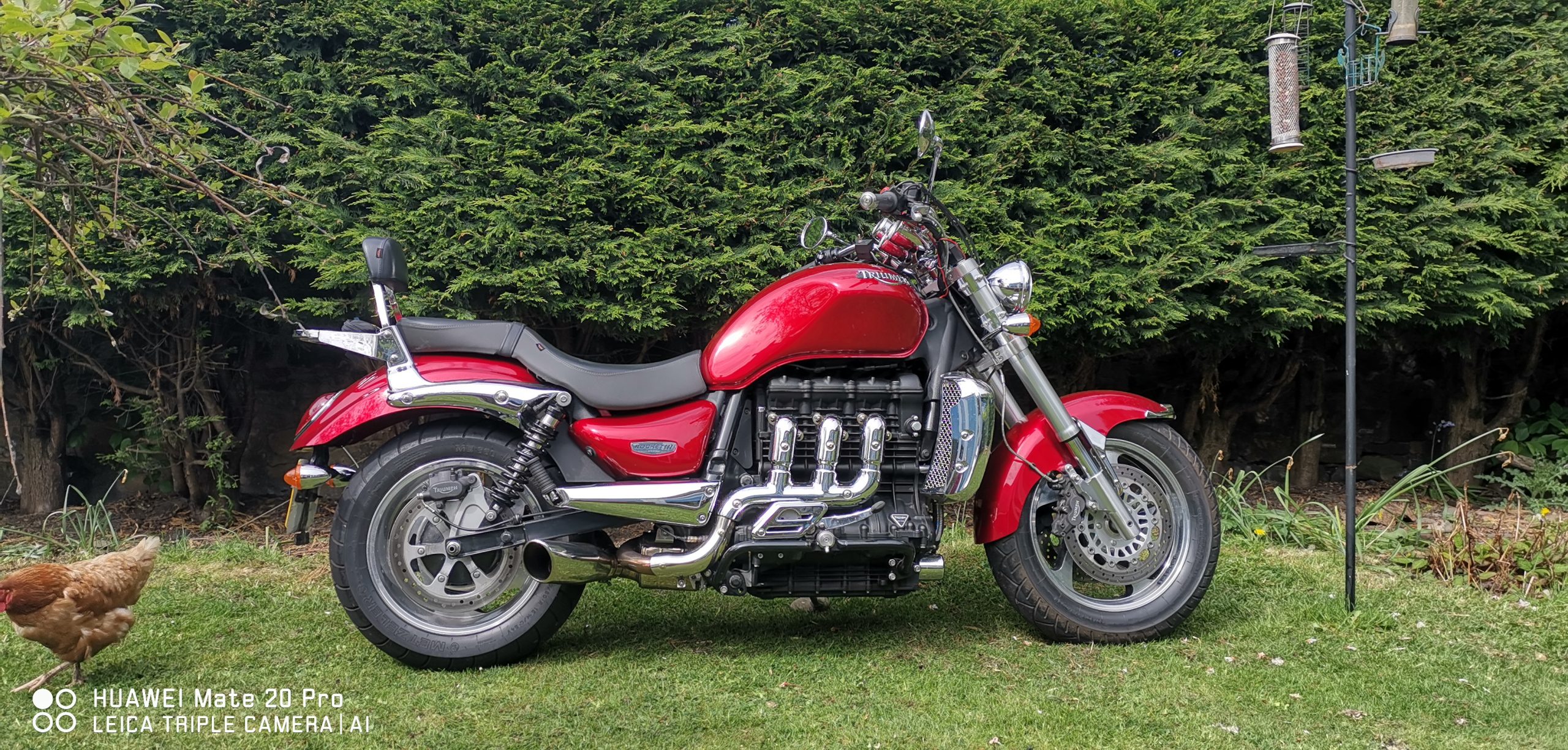 Triumph Rocket III – Bison