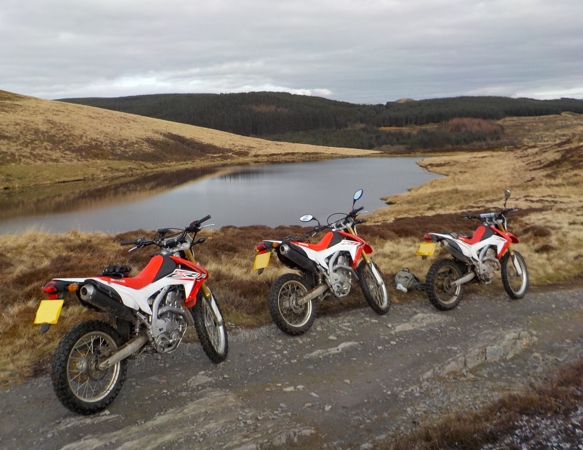 Marianne Walford – Honda CRF250L