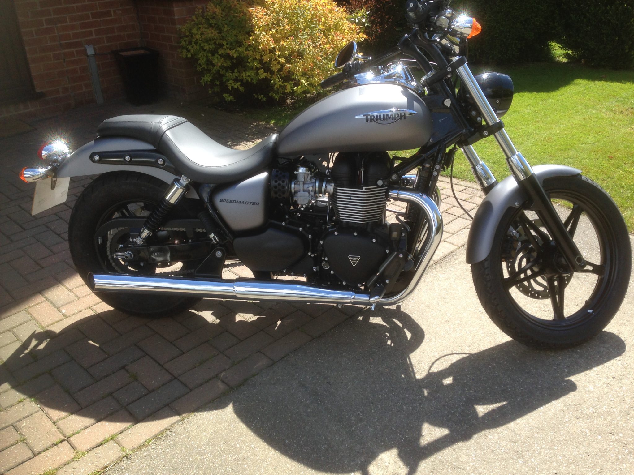 Staffy – Triumph Speedmaster