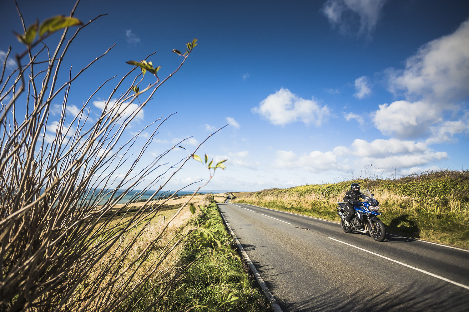 Biking in Dorset