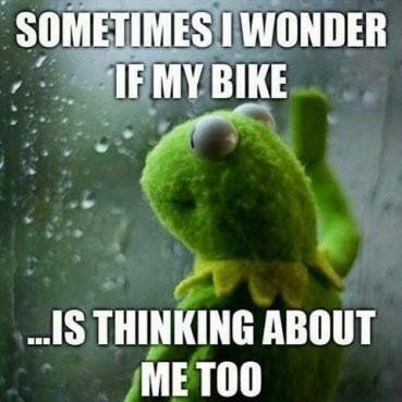 Kermit the Frog motorcycle meme