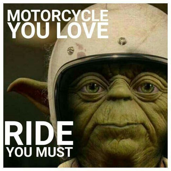 head and shoulders 5 in 1 meme for motorcycle riders! #funny #meme  #motorbike