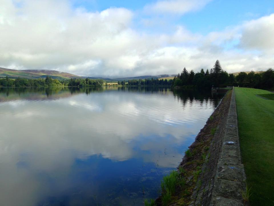 Wee Bear Cafe view