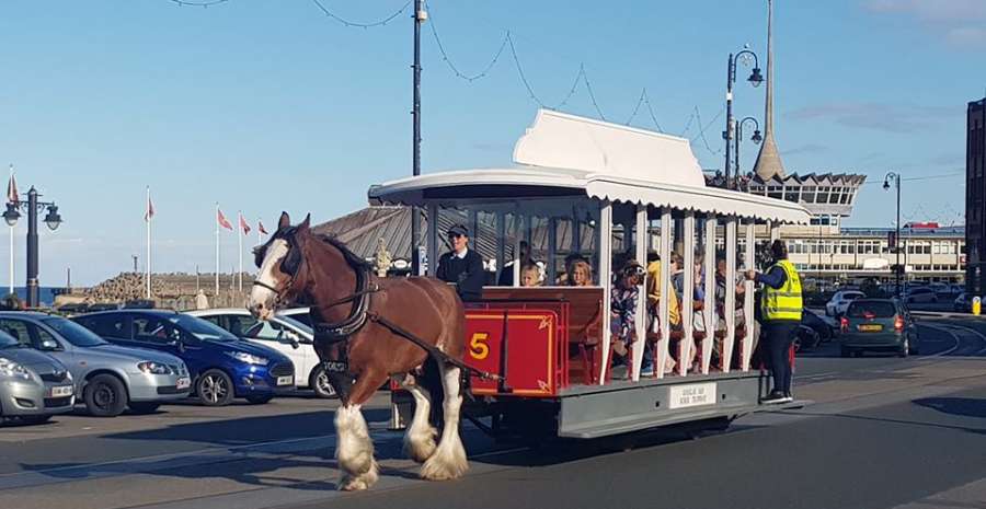 Douglas bay horse tramway online facebook