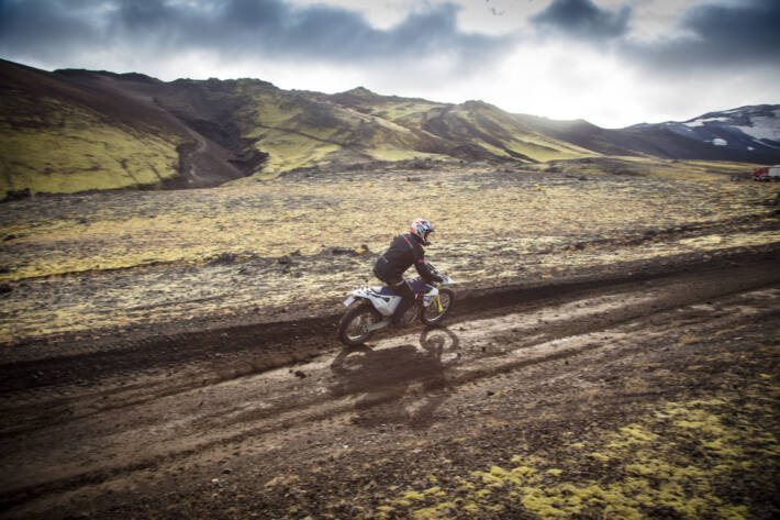 Iceland Riding 
