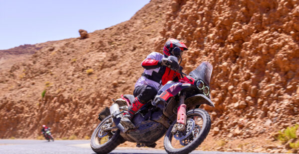 2024 Ducati DesertX Rally