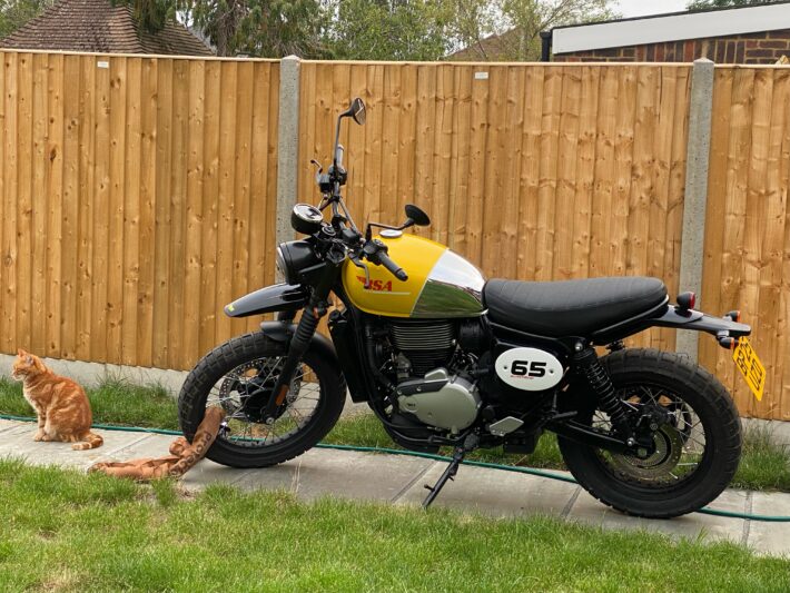 2025 BSA Scrambler 650